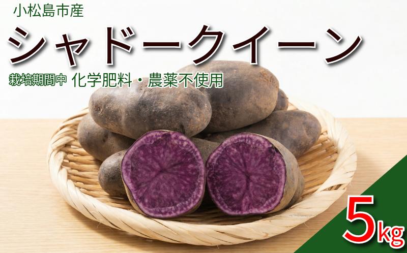 
                  【2026年7月順次発送】新じゃが シャドークイーン 5kg（栽培期間中）化学肥料・農薬不使用  メークイン 紫 じゃがいも 野菜  産地直送 安心 安全 カレー ポテトサラダ  シチュー コロッケ 自然栽培 芋 じゃがバター 小松島市
                