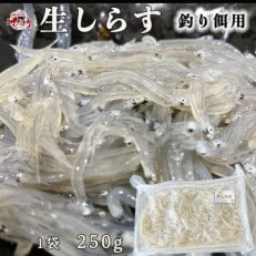 岬だよりの 生しらす釣り餌用 250g×1袋