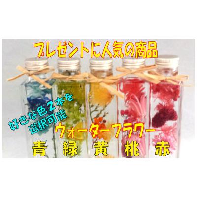 ふるさと納税 新宮町 プレゼントに人気.ウォーターフラワー(2本選択).AF130 |  | 01