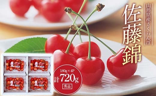 《2026年先行予約》さくらんぼ 佐藤錦 秀品 180g×4パック Lサイズ以上 FSY-0561
