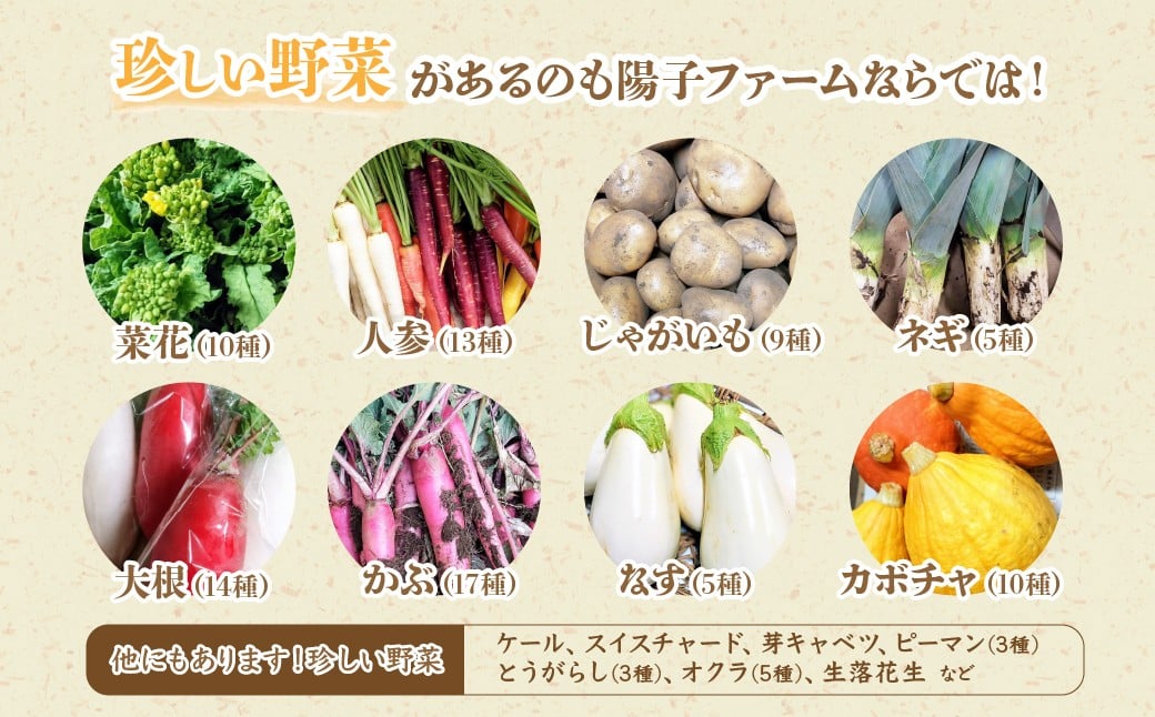 野菜 ヤサイ やさい 春野菜 はるやさい ハルヤサイ 夏野菜 なつやさい ナツヤサイ 秋野菜 あきやさい アキヤサイ 冬野菜
