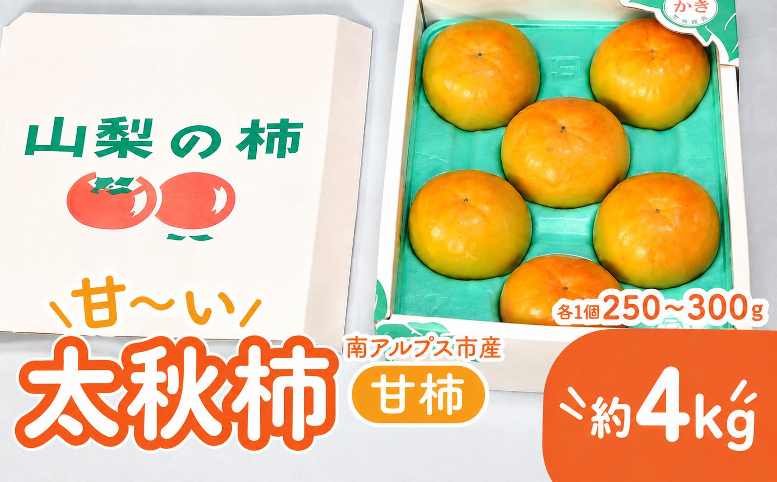
                  ＜2026年発送＞南アルプス市産 太秋柿(甘柿）　4kg(1個当たり250g~300g) ALPAN015
                