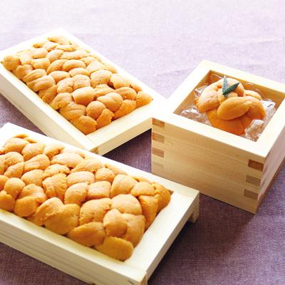 ふるさと納税 根室市 エゾバフンウニ約90〜100g×2折[11月中旬以降発送] C-40030