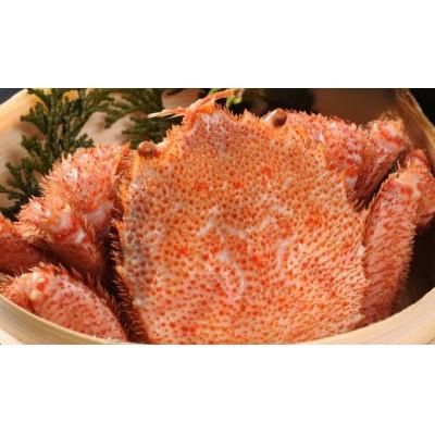 ふるさと納税 網走市 【網走産】毛がに660g前後×1杯 |  | 01