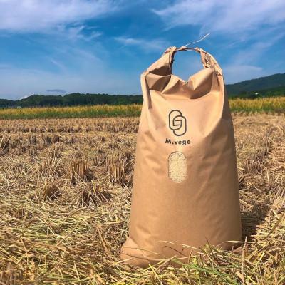 ふるさと納税 福知山市 精米コシヒカリ10kg 京都産 |  | 01