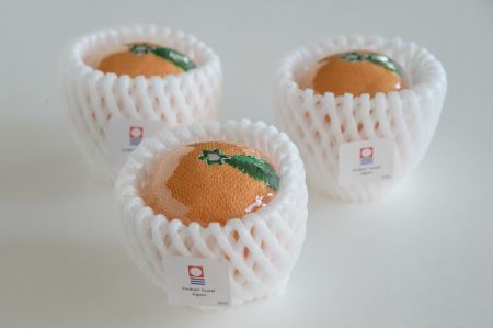 （今治タオルブランド認定）みかんハンカチ３個セット 今治タオル 防臭 抗菌 ハンカチ [IA05350]