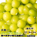 【ふるさと納税】シャインマスカット 粒 【内容量が選択可能】500g (500g×1パック) 1kg (500g×2パック) 2kg (500g×4パック) 《佐藤果樹園》■2025年発送■※9月上旬頃～11月上旬頃まで順次発送予定 果物 フルーツ ぶどう ブドウ 葡萄 先行予約 期間限定 数量限定