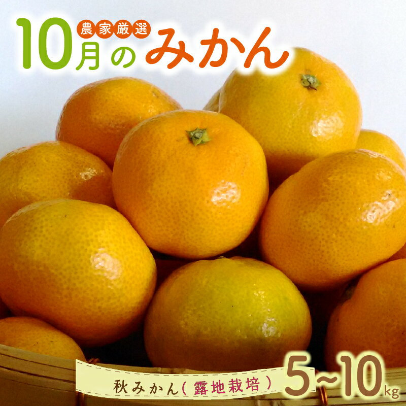 【ふるさと納税】10月の御浜柑橘 秋みかん 5～10kg【御浜町でとれた秋みかんをお届け！】