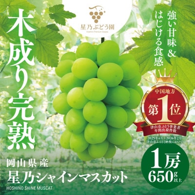 星乃 シャインマスカット 650g以上 1房 数量限定 岡山県産 ぶどう フルーツ 人気ぶどう【配送不可地域：離島・北海道・沖縄県】