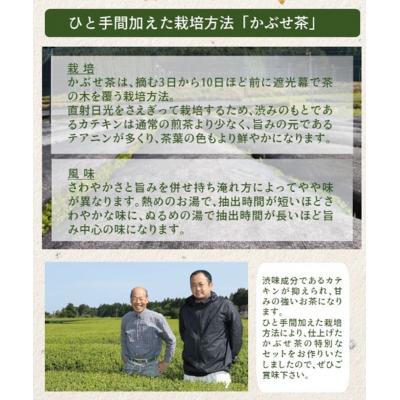 ふるさと納税 南さつま市 【鹿児島県産緑茶】かぶせ茶 かせだみどり(80g×5袋) 茶葉 5本セット 贈答 ギフト |  | 02