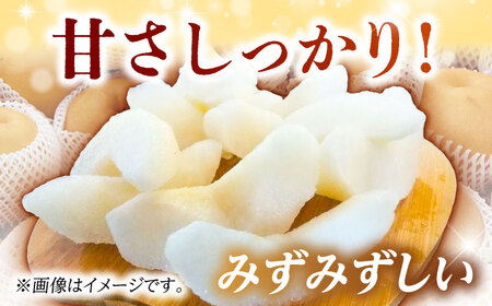 【8月上旬発送開始】 食べ頃品種を2種以上お届け! 梨 食べ比べセット 約5kg （5玉-18玉） / 梨 梨 梨 梨 梨 梨 梨 [AFAR027]