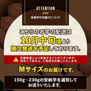n046 ＜先行予約受付中！2025年10月中旬頃より順次発送予定＞種子島産 安納芋(Mサイズ・10kg) 国産 安納芋 紅 種子島 芋 イモ いも さつまいも さつま芋 安納いも セット 詰め合わせ