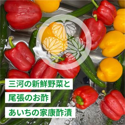 ふるさと納税 岡崎市 三河野菜の葵ピクルス「あいちの家康酢漬」250gびん2本 |  | 02