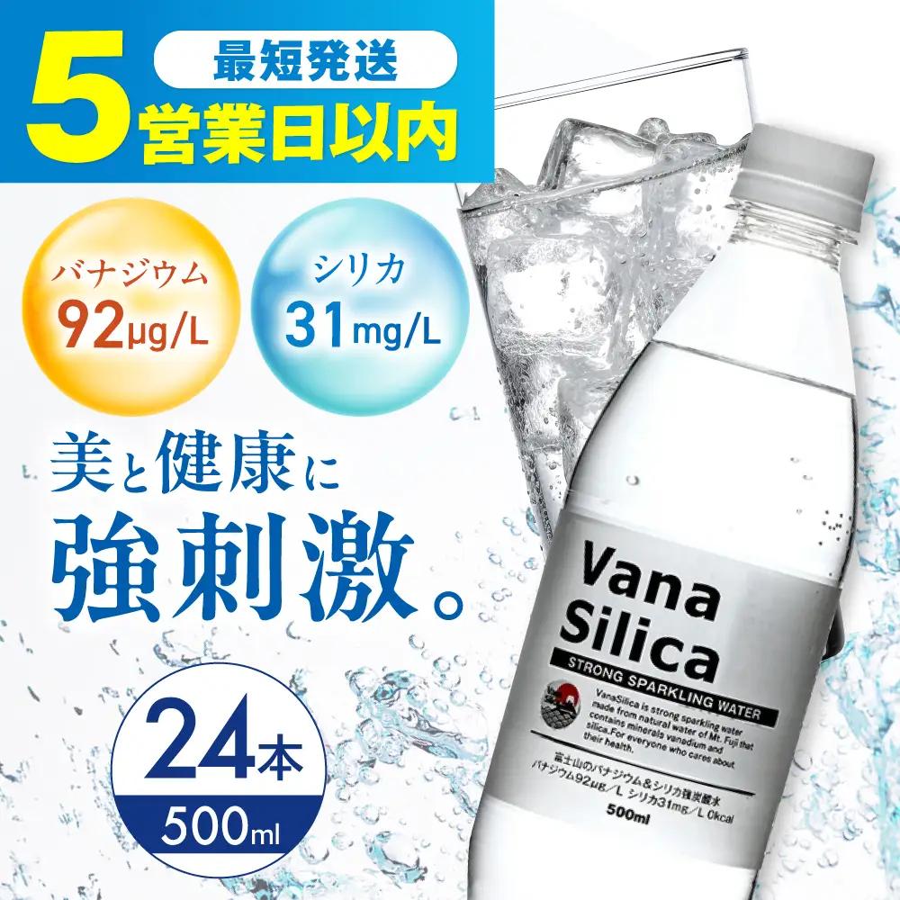 【最短5営業日】 強炭酸水 24本 AOEH009 炭酸