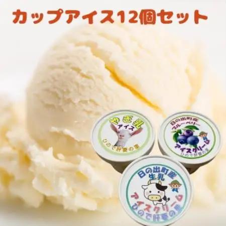 カップアイス12個セット(やぎ乳・プレーン・ブルーベリー)【配送不可地域：離島】【1785737】