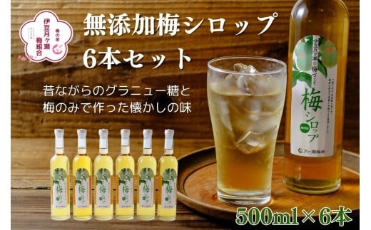 伊豆 月ヶ瀬 こだわりの 梅シロップ 500ml×６本セット 028-001