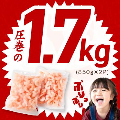 ふるさと納税 泉佐野市 【毎月定期便】むきえび 大型 5Lサイズ 1.7kg×全3回 |  | 01