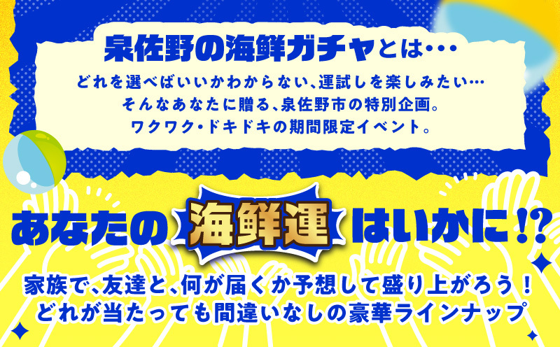 【期間限定】泉佐野 海鮮ガチャ（寄附10,000円コース）【海鮮 えび 鮭 サーモン しらす 刺身 普段使い お楽しみ 翌月以降】 gacha015_イメージ3