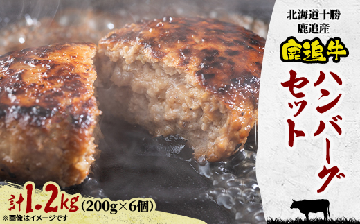 鹿追牛 ハンバーグセット 200g×6個 計1.2kg 牛肉100% 北海道十勝鹿追産【0117】【配送不可地域：離島】