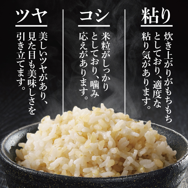 【3ヶ月定期便】茨城県特別栽培認証 清明川コシヒカリ玄米 5kg【米 おこめ こしひかり  特別栽培米 農家直送 直送 茨城県 阿見町】（04-21）