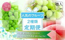 【ふるさと納税】市川三郷町フルーツ定期便（計2回）　桃(約1.8kg)・シャインマスカット(2房 約1.1kg)　2025年発送[5839-2049]