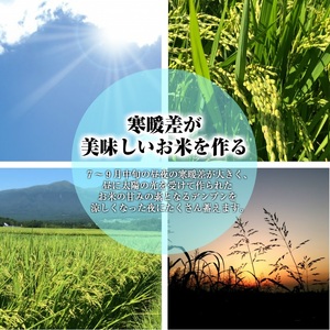 SB0793　令和7年産【精米】特別栽培米 つや姫　5kg×1袋 AB