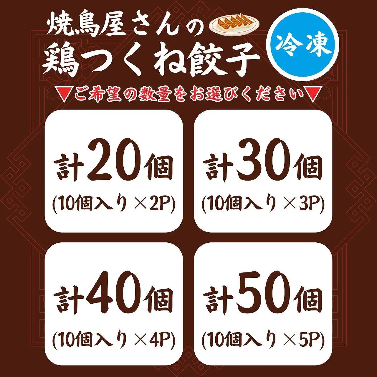 鶏つくね餃子 10個×4パック［A-084003］