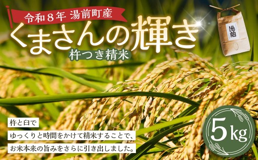 令和8年産 湯前産 くまさんの輝き 「 杵つき精米 」 5kg お米 米 白米 白飯 ご飯 おにぎり 和食 国産 熊本県産 【 2026年11月上旬～12月上旬発送予定 】
