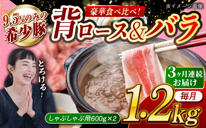 
                  【月1回約1.2kg×3回定期便】大西海SPF豚 背ロース＆バラ（しゃぶしゃぶ用）計約3.6kg 長崎県/長崎県農協直販 [42ZZAA109]
                