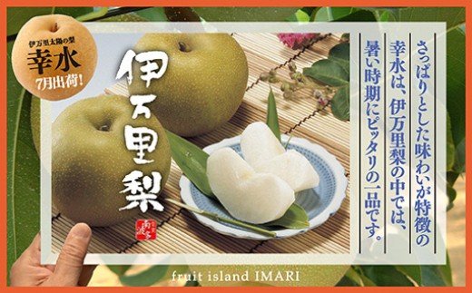 【2025年産先行予約】伊万里梨「幸水」化粧箱入 約2.5kg B159