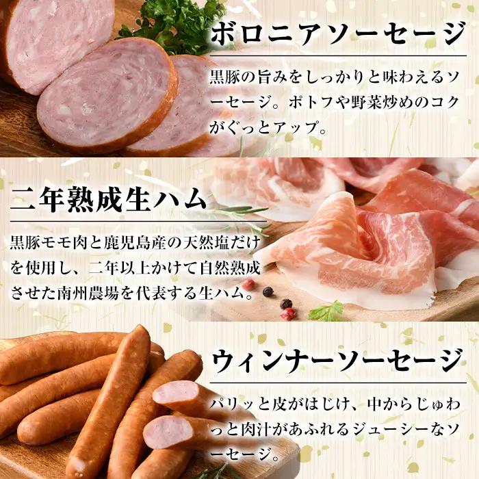 南州農場 黒豚 ギフト(8種) ハム ベーコン ウインナー 国産 焼豚【南州農場(株)高山ミートセンター】B03002