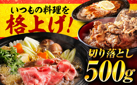 近江牛 すき焼き用 切り落し 500g BIBH005 近江牛