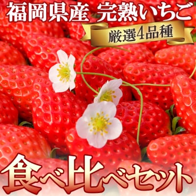 【ふるさと納税】いちご ギフトに最適 いただきいちご園の食べ比べ セット 厳選 4品種 化粧箱入り 果物 デザート イチゴ 苺　お届け：2025年1月1日～5月31日まで
