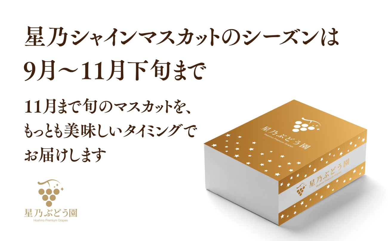【三つ星ブランド】星乃シャインマスカット プレミアムクラス(岡山県産) 1房×850g以上【配送不可地域：離島・北海道・沖縄県】