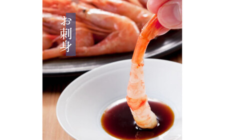 [001-a020] 福井県産 越前甘えび小サイズ 500g × 2パック（計1kg）【 増米 ますよね 敦賀 甘エビ えび エビ 海老 冷凍 急速冷凍 】