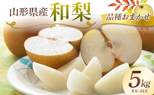 《2026年 先行予約》 山形県産 和梨（品種おまかせ） 5kg（8～14玉） なし 果物 フルーツ FSY-2424