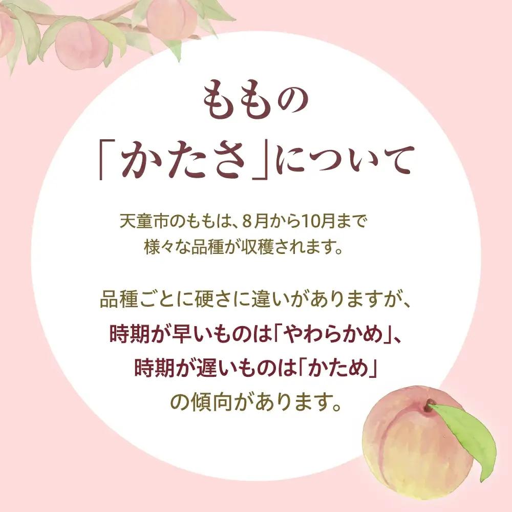 硬い桃 白桃 品種 おまかせ 3kg フルーツ 果物 山形