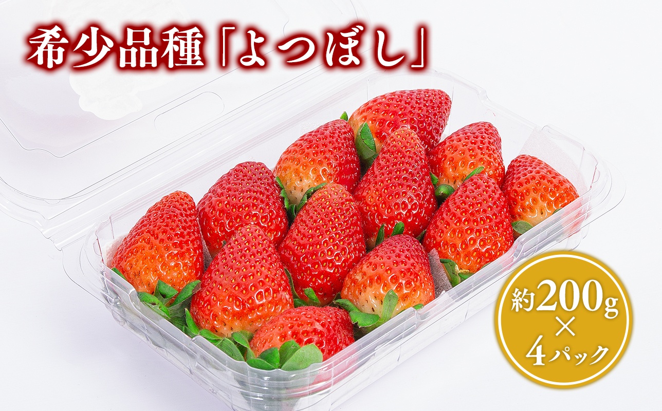 【1～4月発送】いちご よつぼし 約200ｇ×4パック