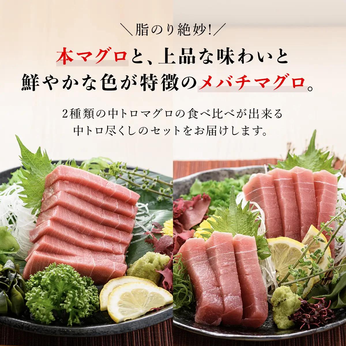 豪華!中トロセット!マグロ 中トロセット(本マグロ600g+メバチマグロ600g) MBT003