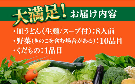 長崎皿うどん 8人前 野菜 10品目 果物 1品目 セット  / 皿うどん かた焼きそば / 南島原市 / 贅沢宝庫[SDZ002]