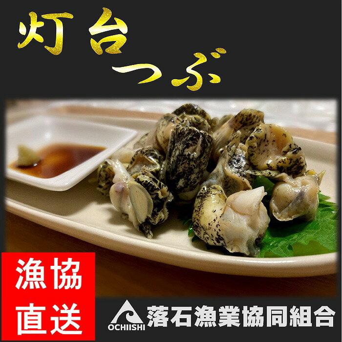 【ふるさと納税】[北海道根室産]灯台つぶ200g 選べる 2P ～ 4P つぶ貝 ツブ貝 北海道 根室市 海鮮 貝