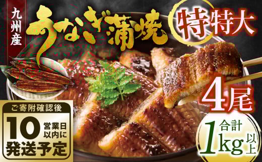 九州産 うなぎ蒲焼 特特大4尾 (1尾あたり250～266g) 合計：1kg以上【順次発送】