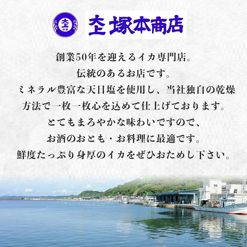 干物 イカ 佐渡沖産 3種 イカづくしセット1