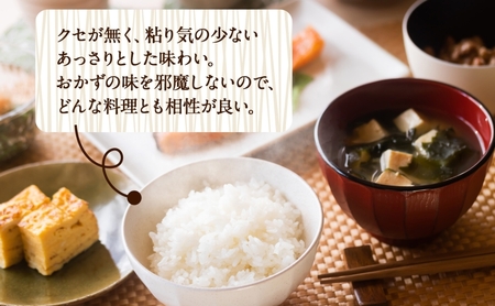 R7年産  特選米 ハツシモ 精米 10kg ×1袋 お米 米 白米 ごはん 新米 精白米 ご飯 はつしも 令和7年産 ブランド米 低農薬 お取り寄せ 産地直送 クリーンファームまき 送料無料 岐阜県