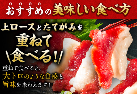馬刺し 国産 上ロース馬刺しセット 合計400g 50g小分け《90日以内に出荷予定(土日祝除く)》 たてがみ コーネ ブロック 国産 熊本肥育 冷凍 生食用 肉 馬ロース 絶品 牛肉よりヘルシー 馬