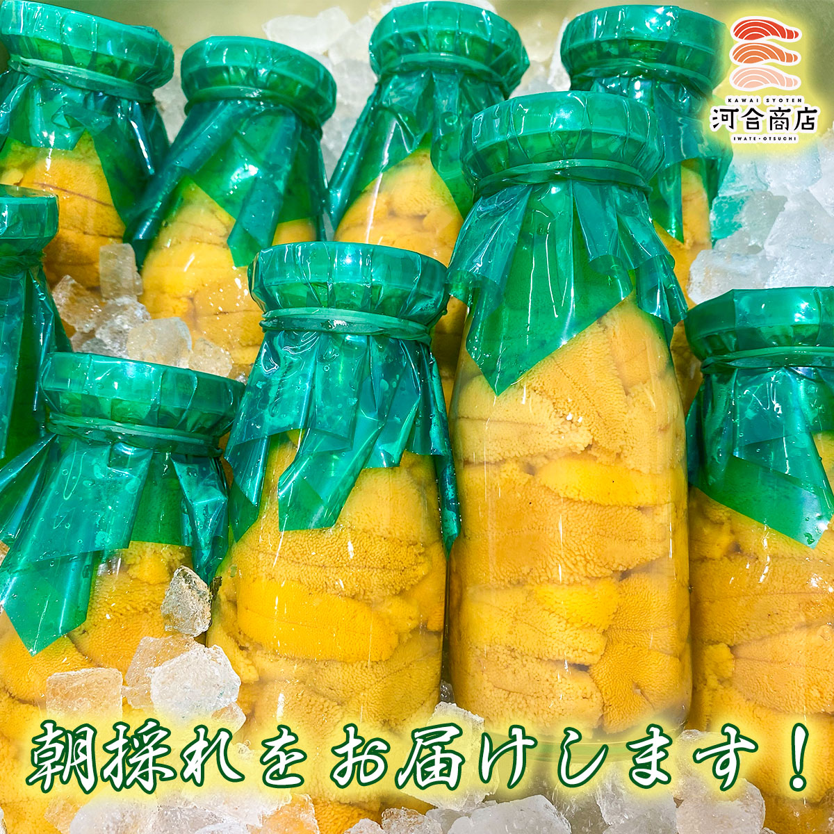 【令和8年発送】無添加『生うに』 天然 岩手三陸産 朝獲れ ミョウバン不使用 150g×3【2026年4月下旬～8月発送】【15】