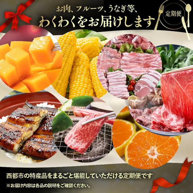 【季節の定期便A】6ヶ月毎月届く 西都まるごと堪能セット6品お届け！【お楽しみコース】宮崎完熟マンゴー 宮崎牛 うなぎ スイートコーン いちご 地鶏 すき焼き＜1-1a＞