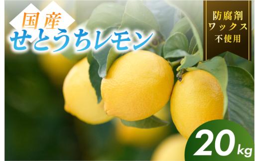 【有機】せとうちレモン　今治産　20kg【K002330KG20】