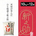 【ふるさと納税】【新米】【12ヶ月定期便】 特別栽培米 新之助 10kg (5kg×2袋)×12回 米杜氏 壱成 白米 精米 大粒 つや 光沢 弾力 芳醇