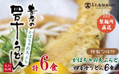 【数量限定】四万十うどんとカボチャの天ぷら６食入り R5-796